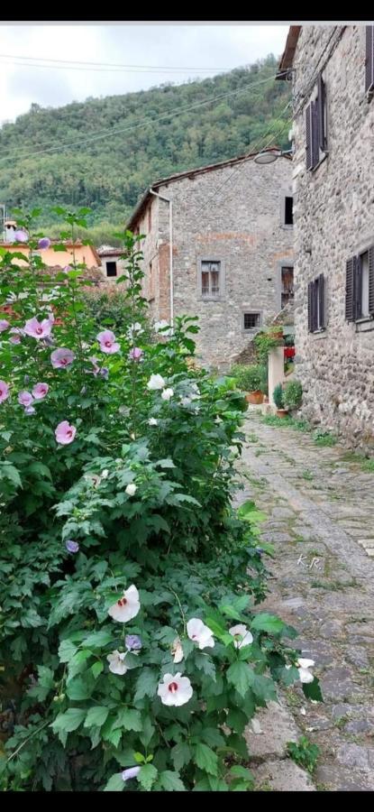 La Locanda Di Nonna Jolanda Apartment Borgo a Mozzano Exterior photo